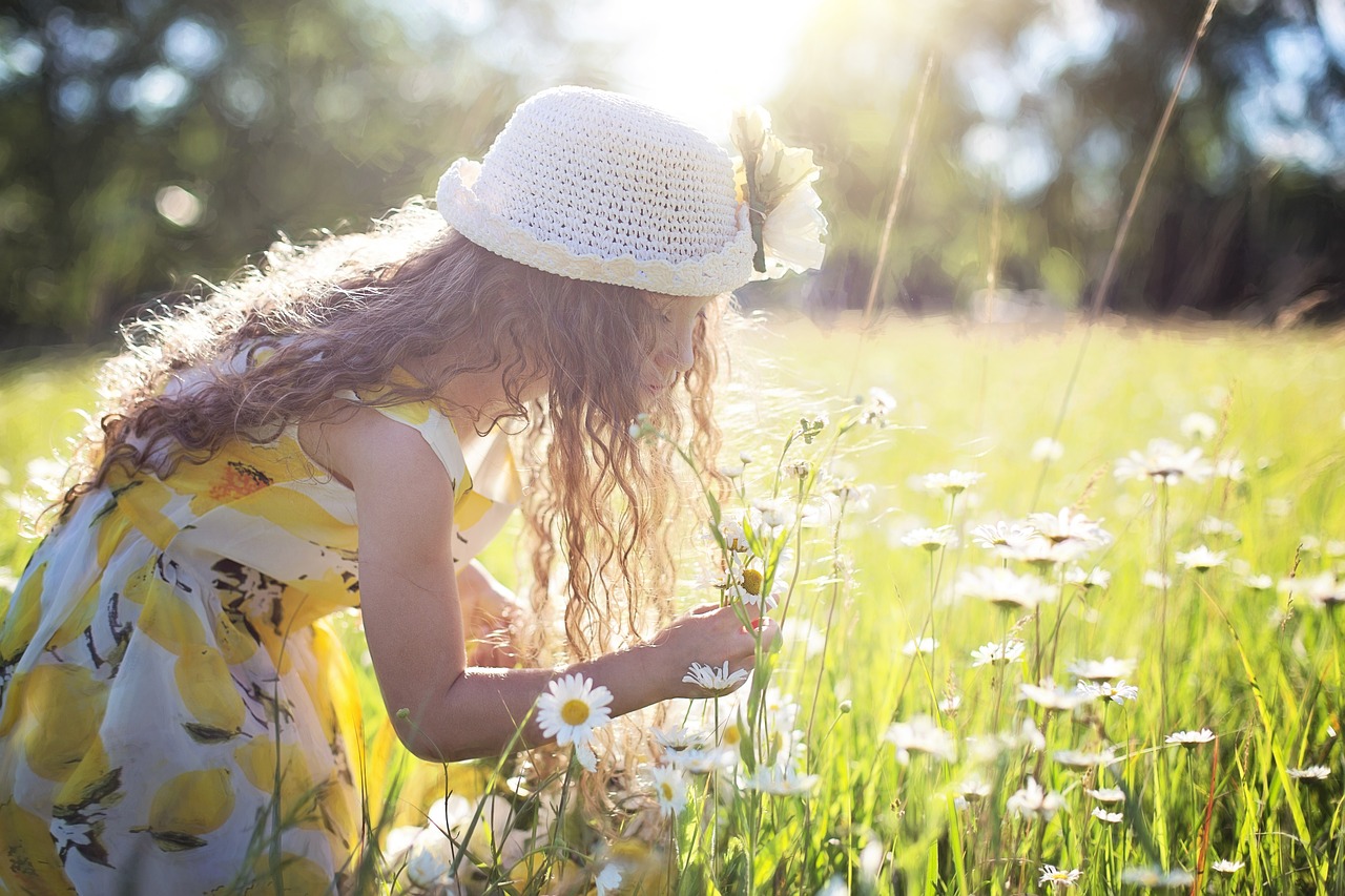 picking flowers daisies little girl free photo