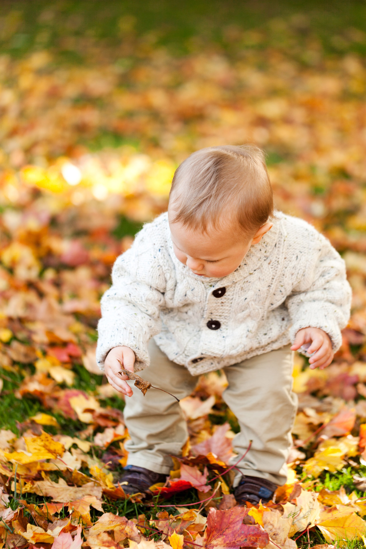 autumn fall baby boy free photo