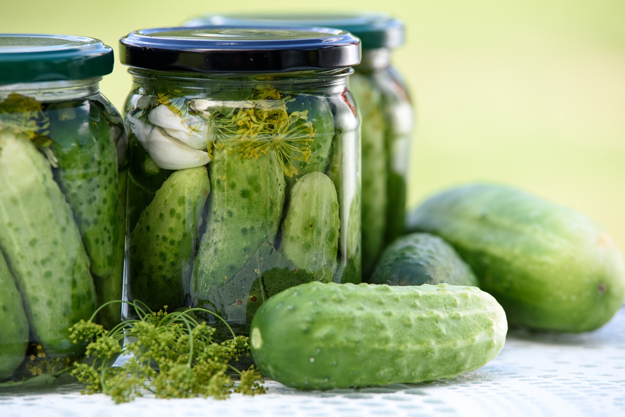 pickled cucumbers homemade preserves jars free photo