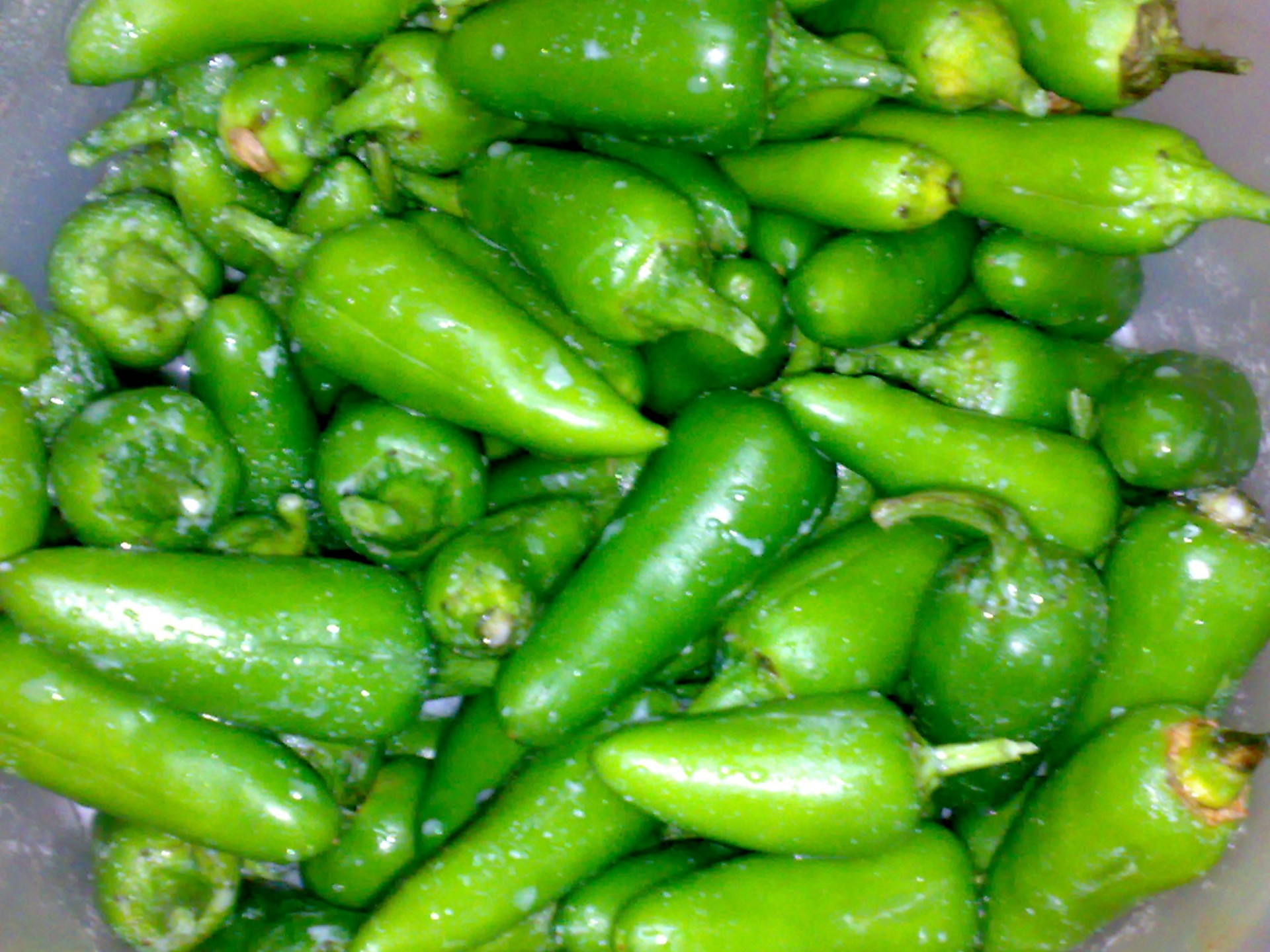 green chillies buttermilk pickles free photo