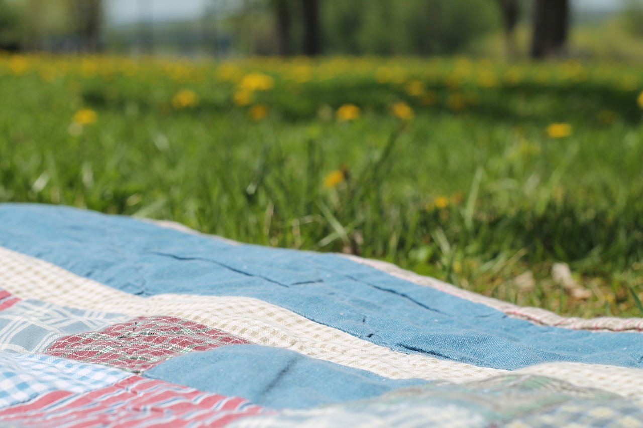 picnic blanket summer free photo