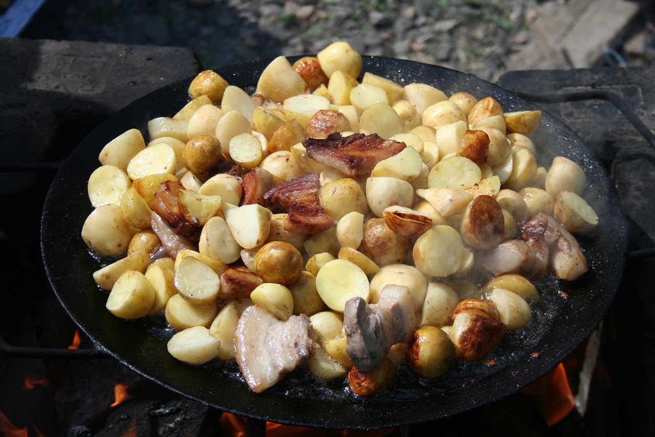 picnic dacha fried free photo