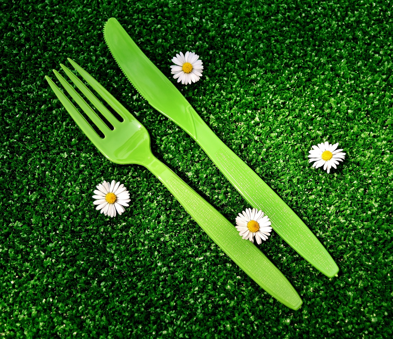 picnic cutlery plastic free photo