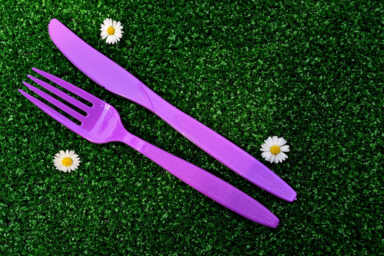 picnic cutlery plastic free photo