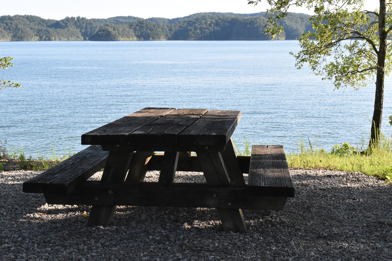 picnic picnic table outdoor lunch free photo