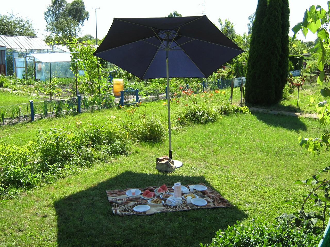 picnic fun eating free photo