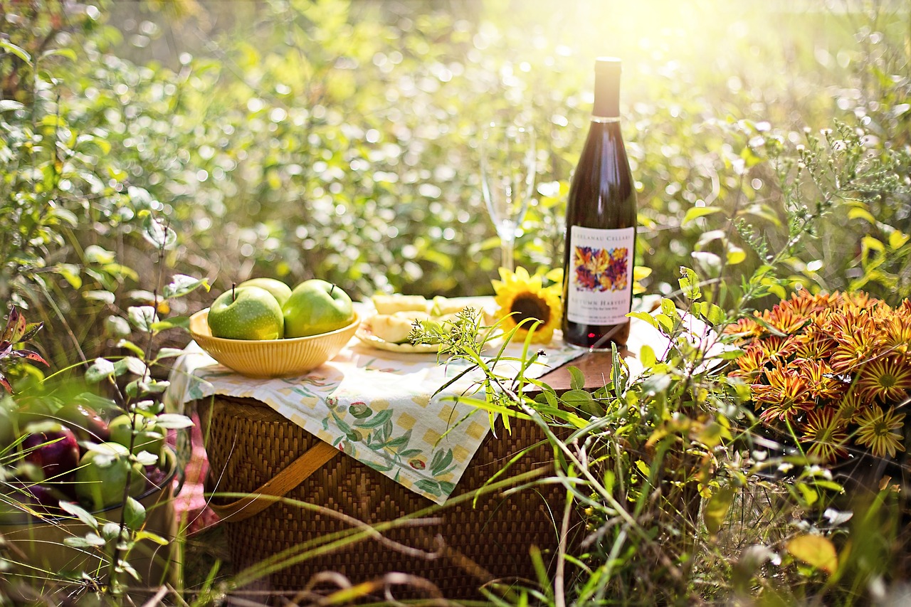 picnic  wine  apples free photo
