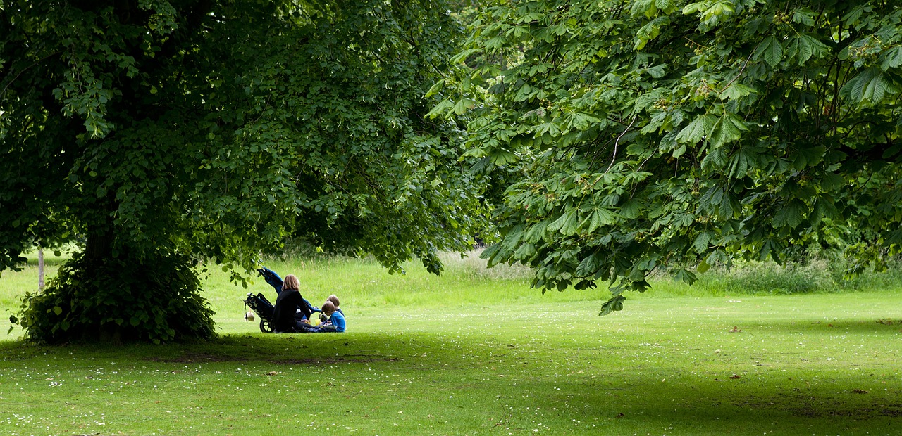 picnic mother children free photo