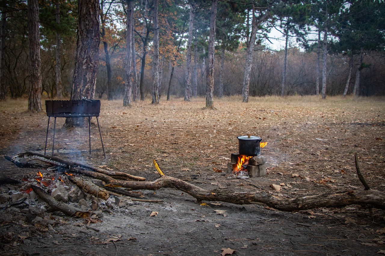 picnic  bonfire  shish kebab free photo