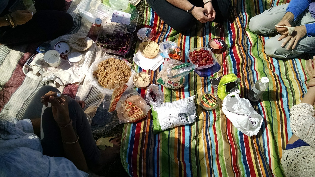 picnic summer outdoors free photo