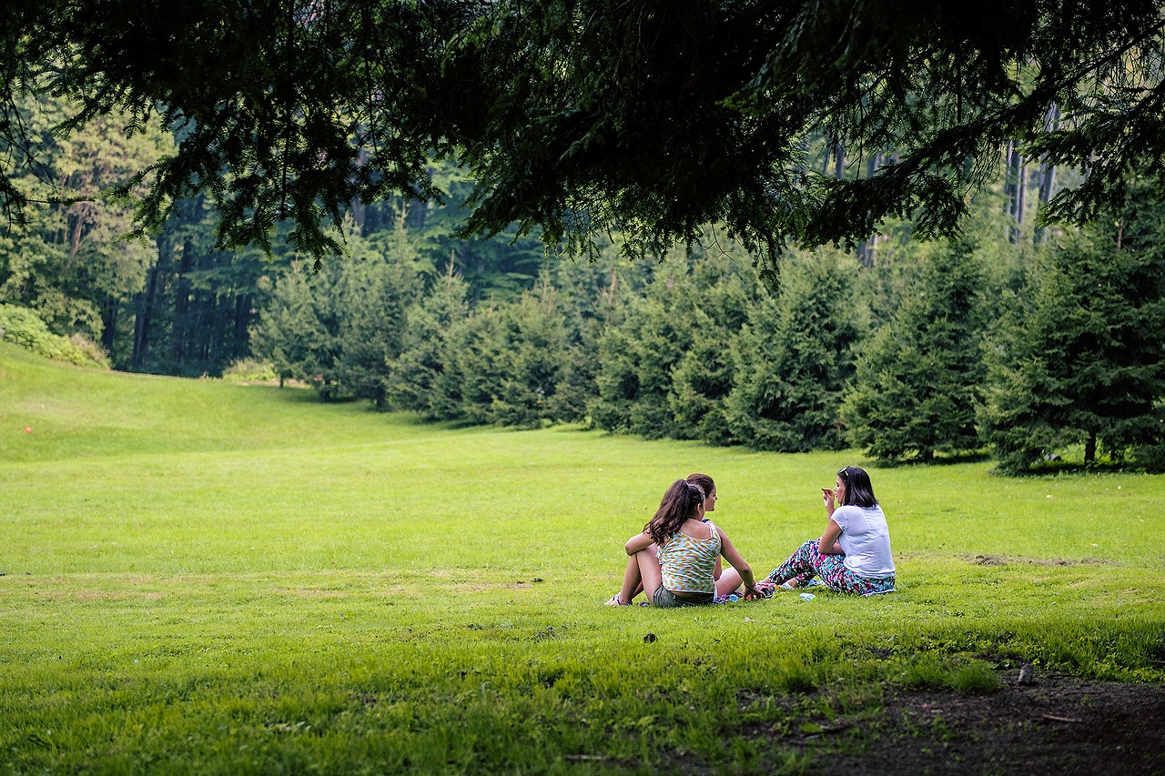 picnic nature girls free photo