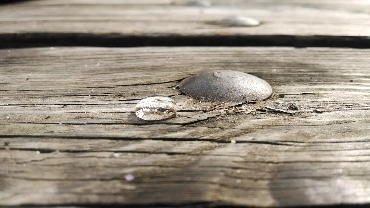 picnic table water free photo