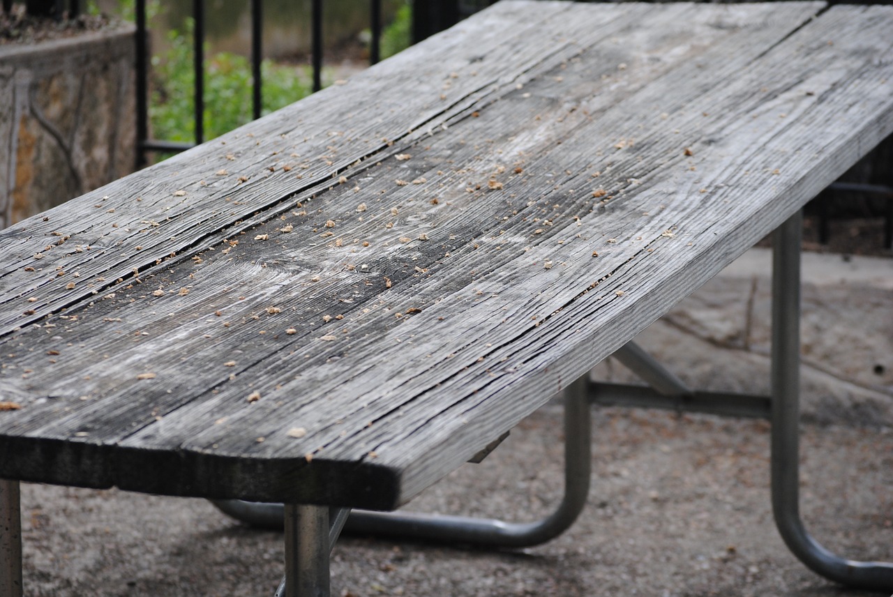 picnic table bench free photo