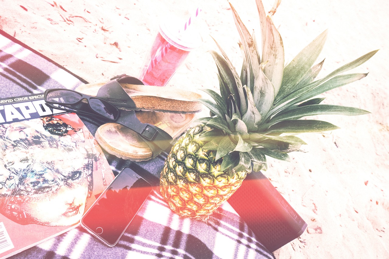 picnic beach pineapple free photo