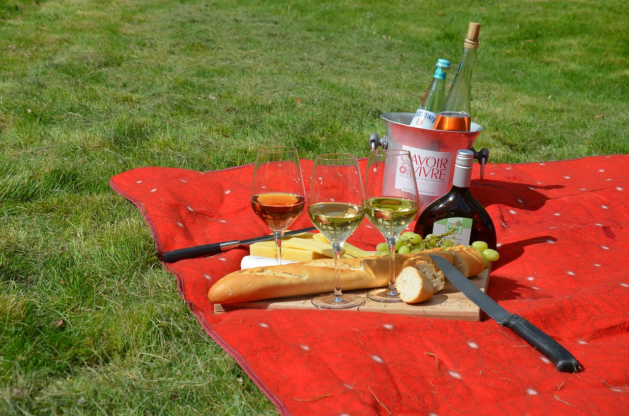 picnic savoir vivre wine free photo