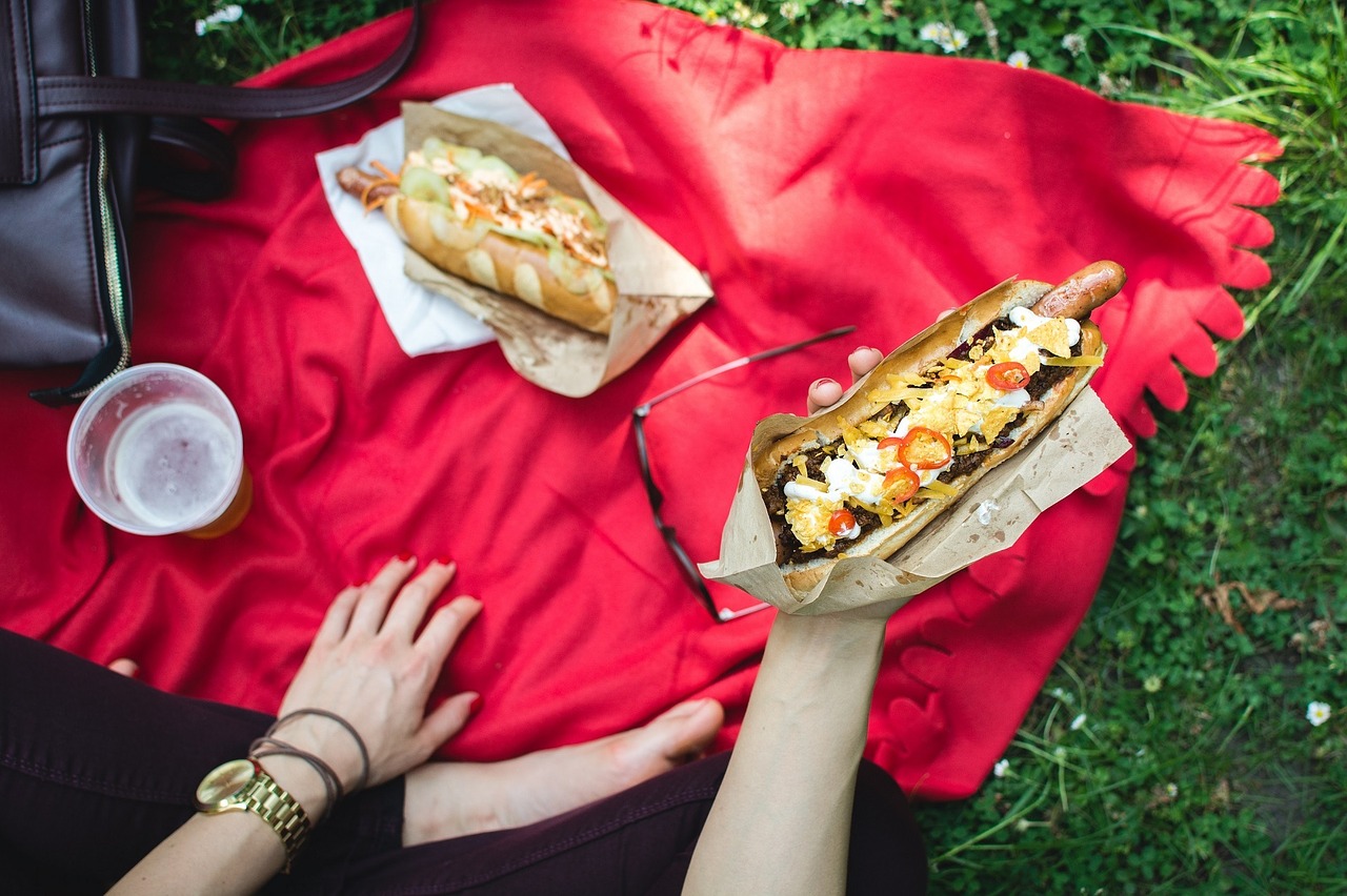 picnic hot dog frankfurter free photo