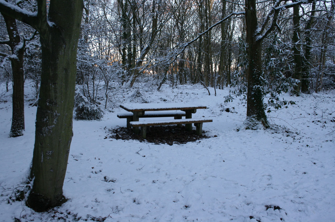 picnic bench snow free photo