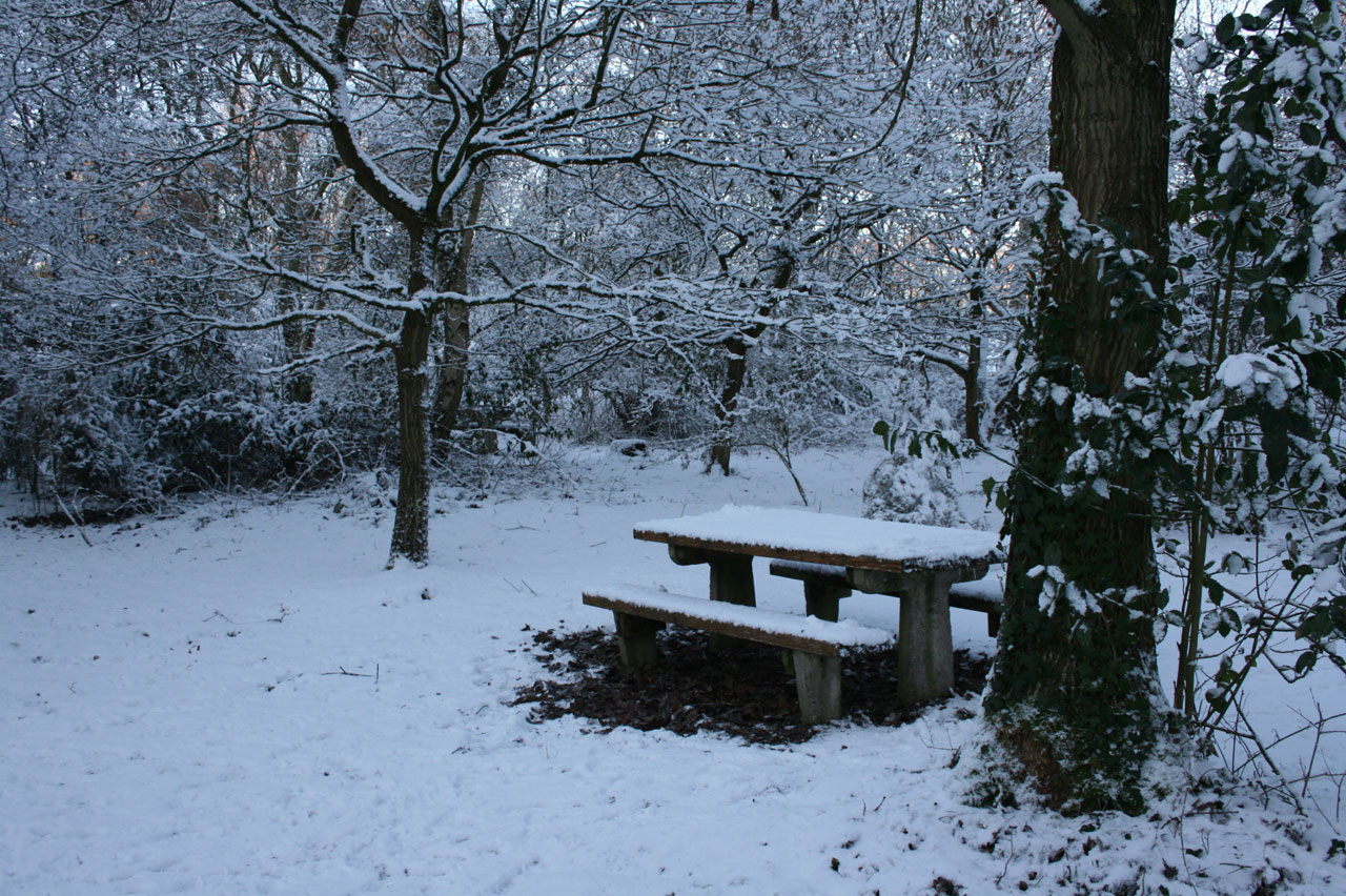 picnic bench snow free photo