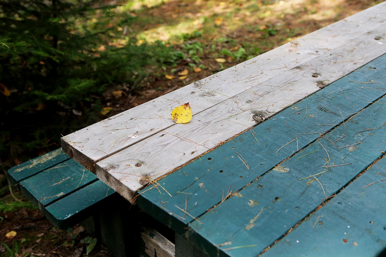 picnic table wood outdoors free photo