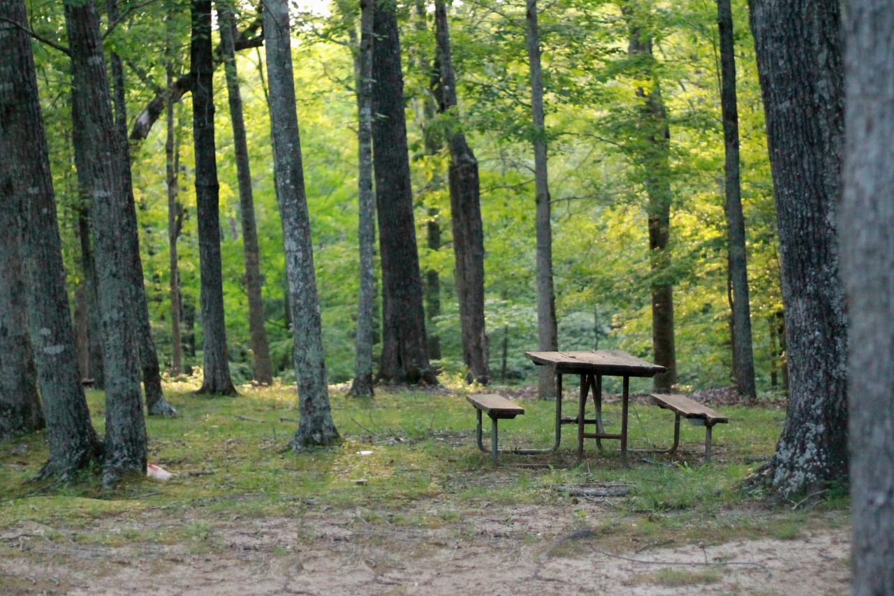 picnic table table woods free photo