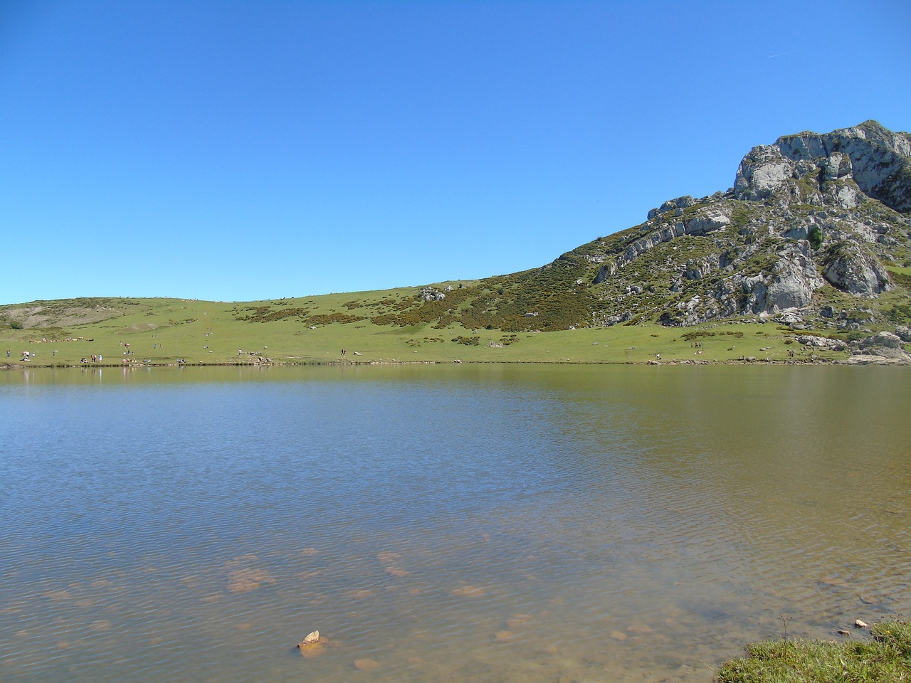 picos de europa covadonga lakes spain free photo