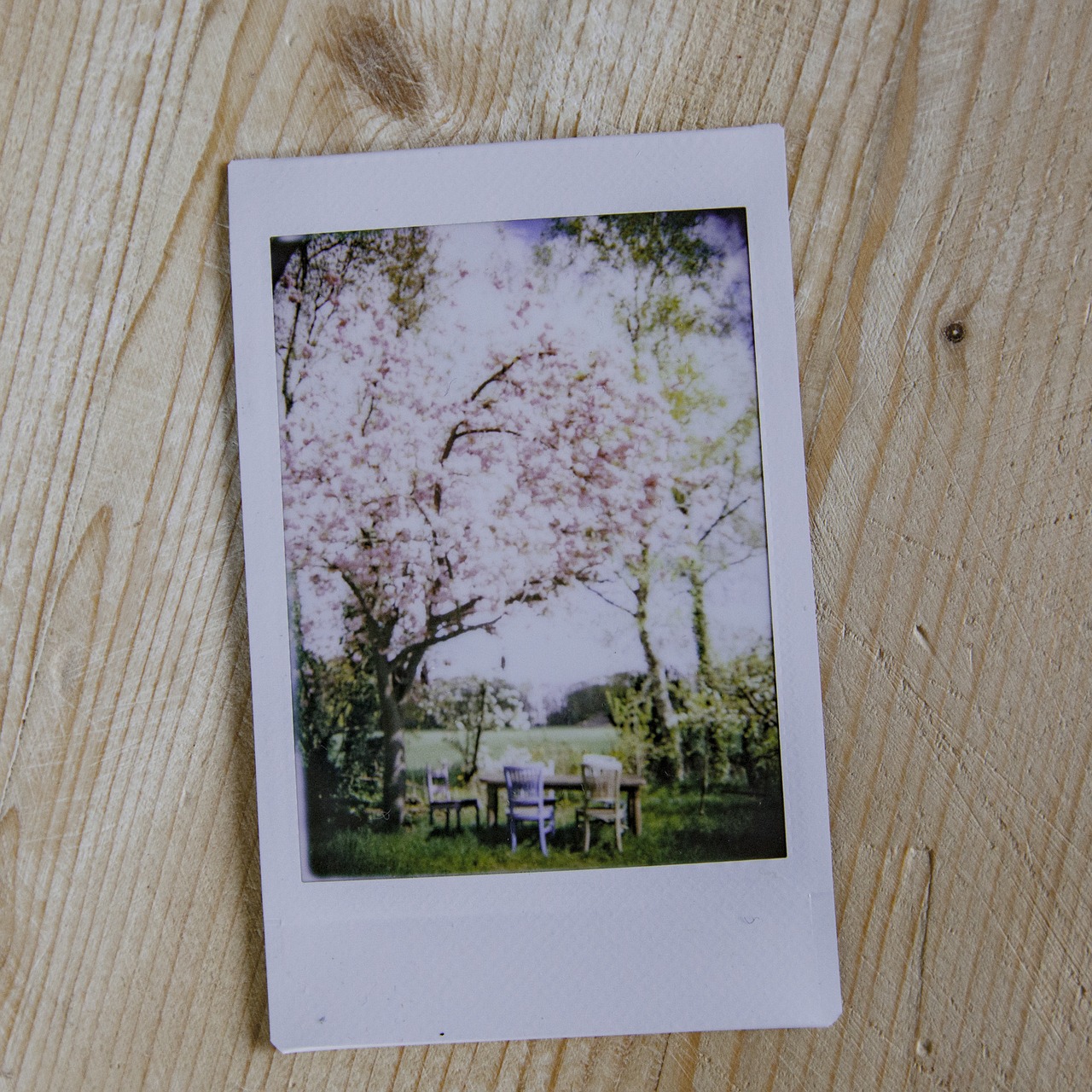 picture instant polaroid free photo