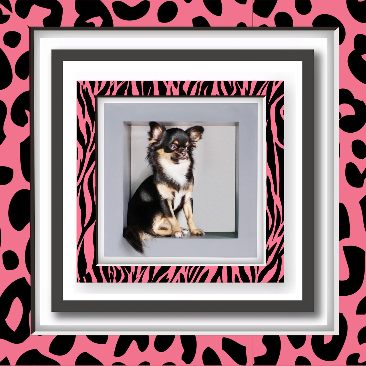 picture frame dog cute free photo