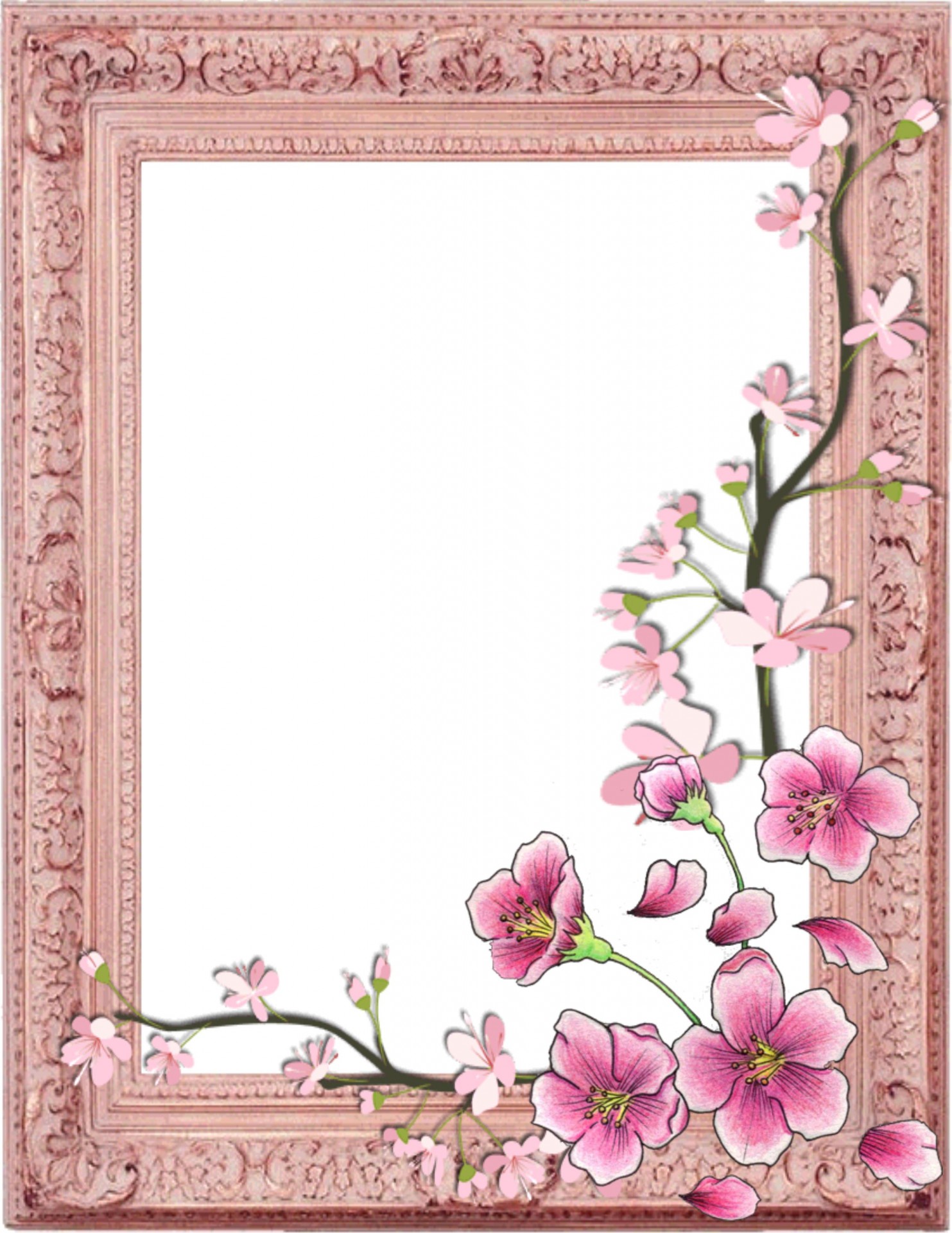 picture frame frame pink frame free photo