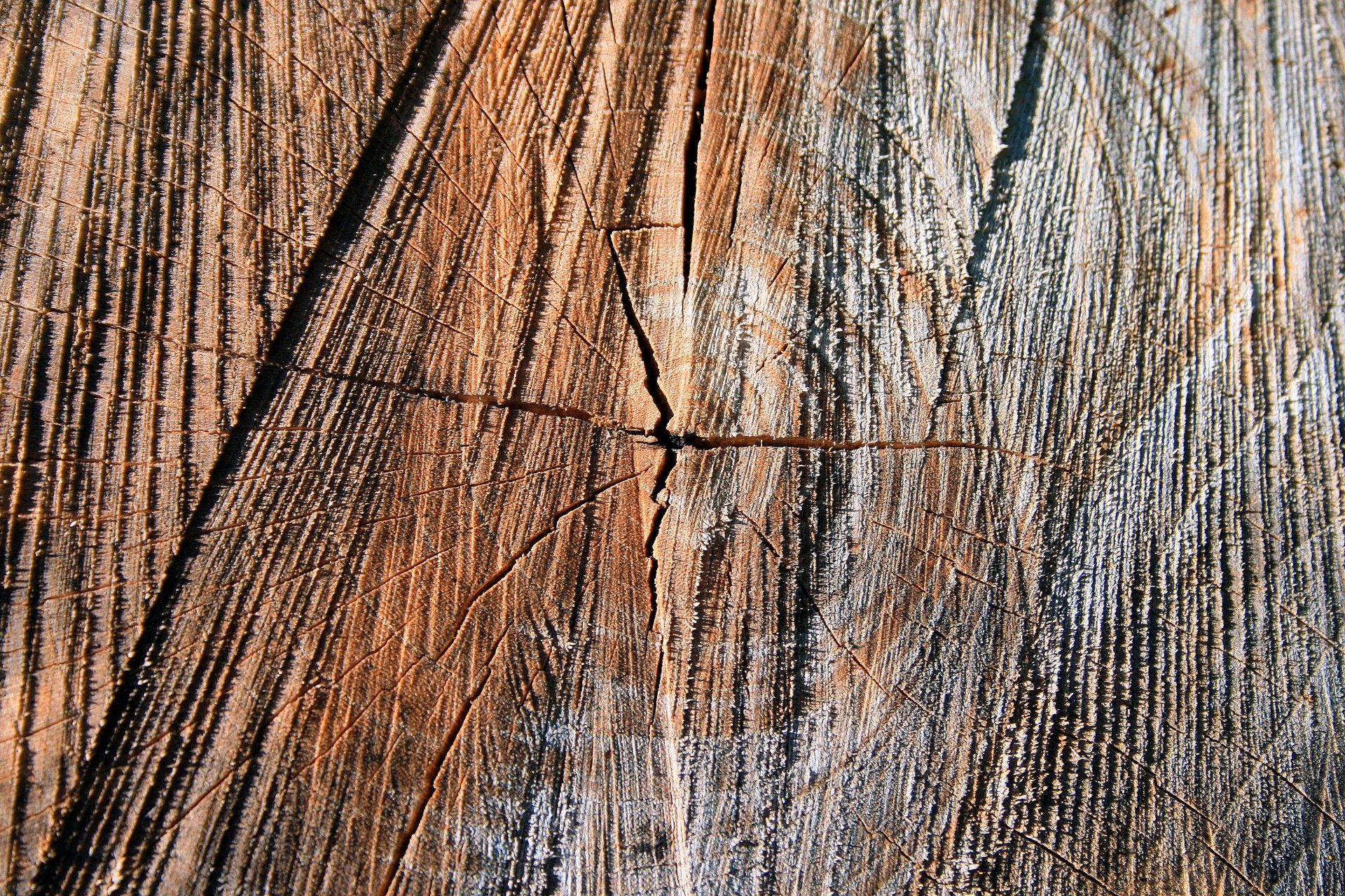 Wood discovered. Обугленный срез древесины. Зерно древесина. Следы от пилы на дереве. Фактуру дерева зерно 180.