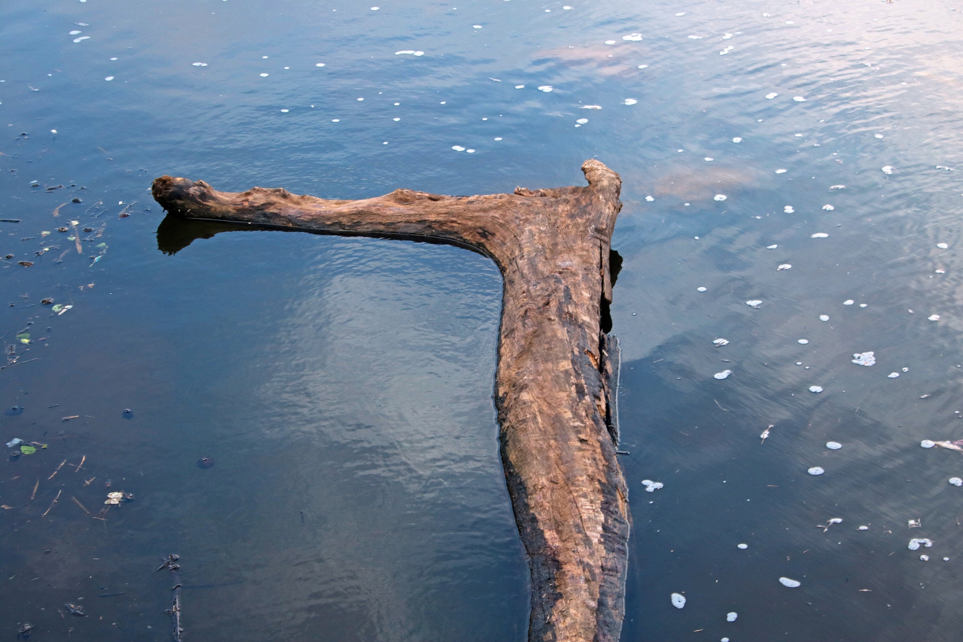 water lagoon shimmer free photo