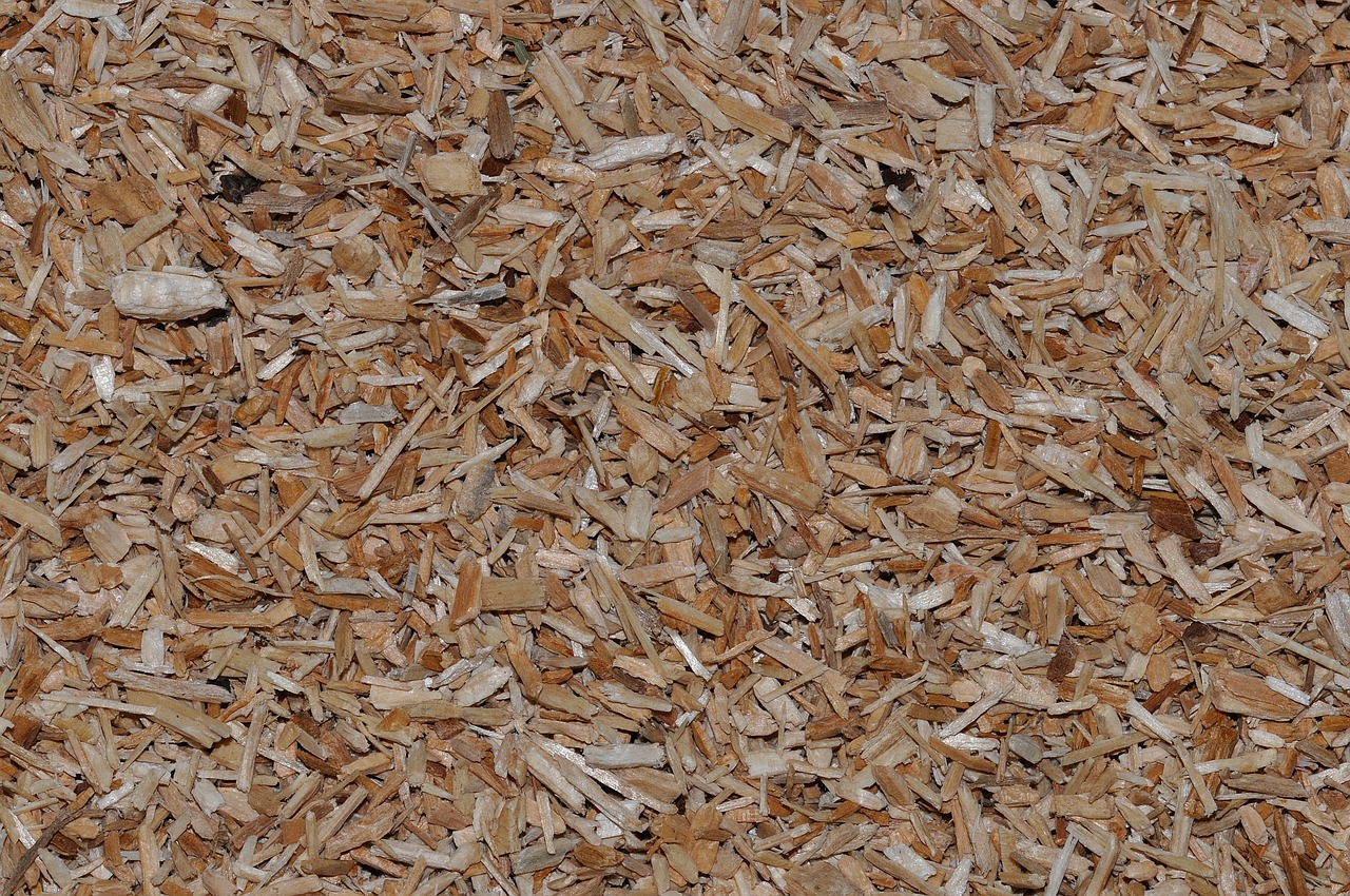 pieces of wood wood chips natural material free photo
