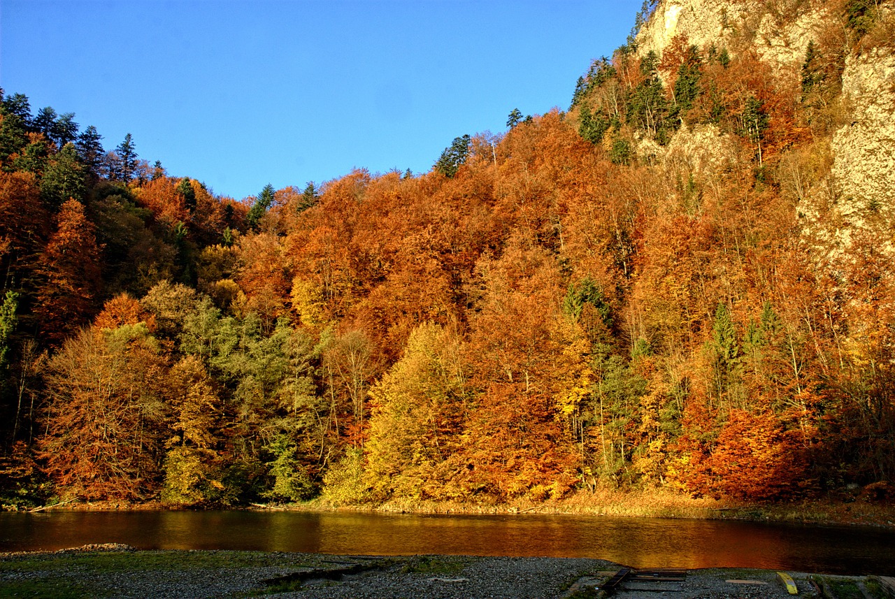 pieniny dunajec autumn leaves free photo