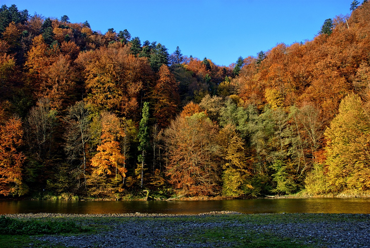 pieniny dunajec autumn leaves free photo