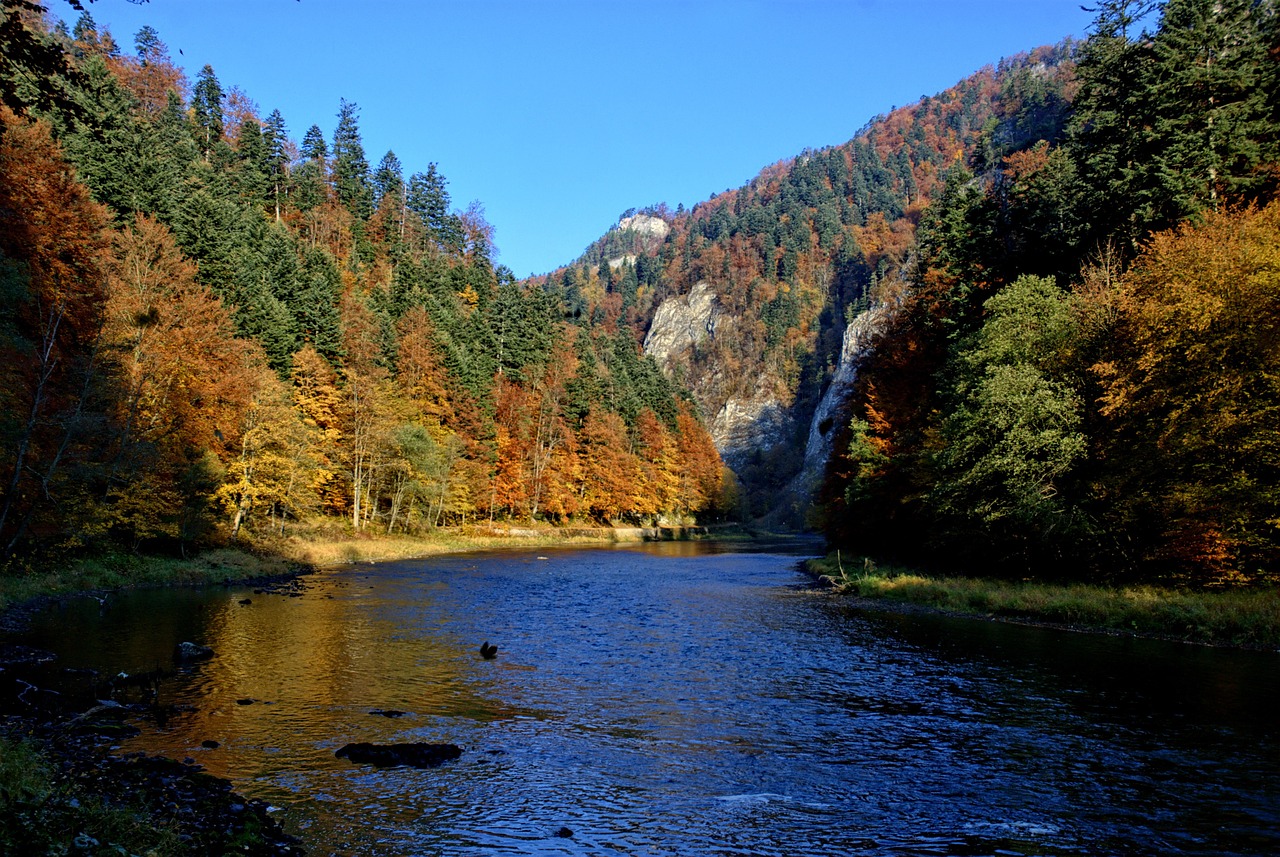 pieniny dunajec autumn leaves free photo