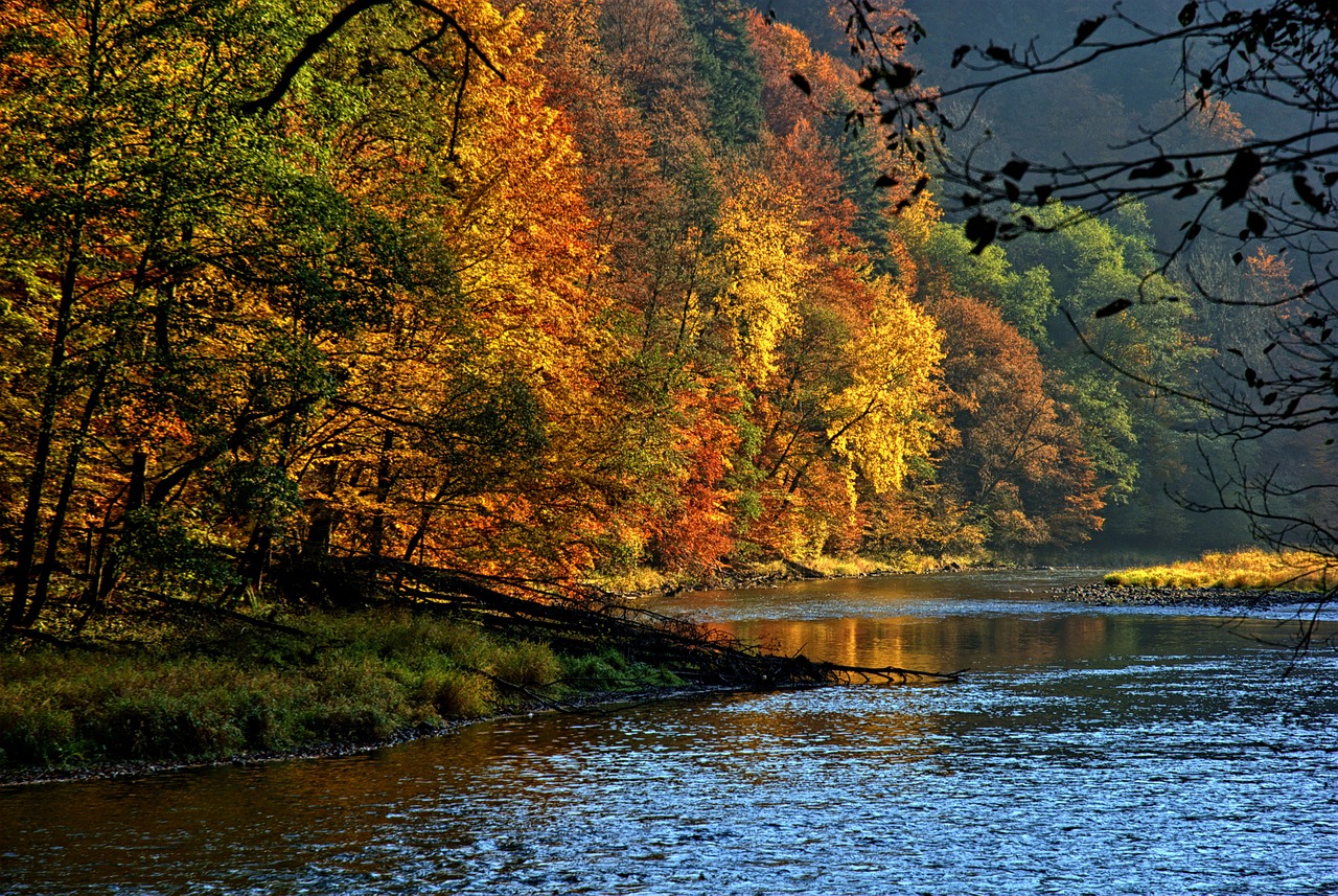 pieniny dunajec autumn leaves free photo