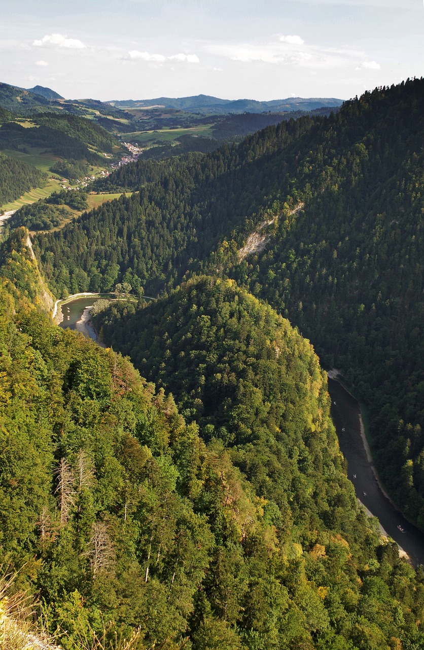 pieniny dunajec sokolica free photo