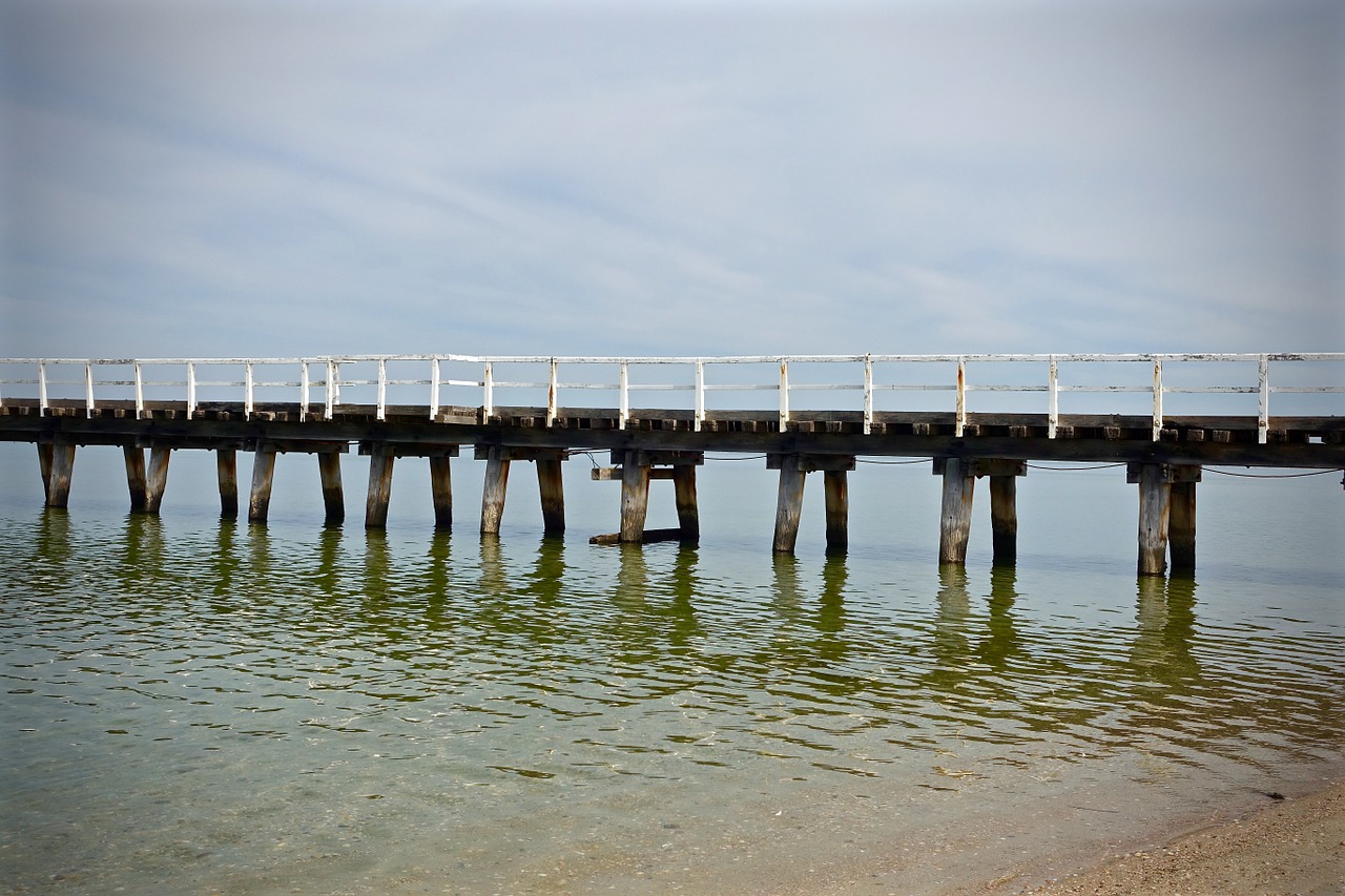 pier jetty wooden free photo