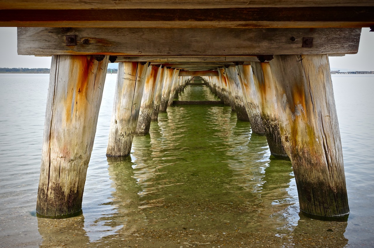 pier posts seaside free photo
