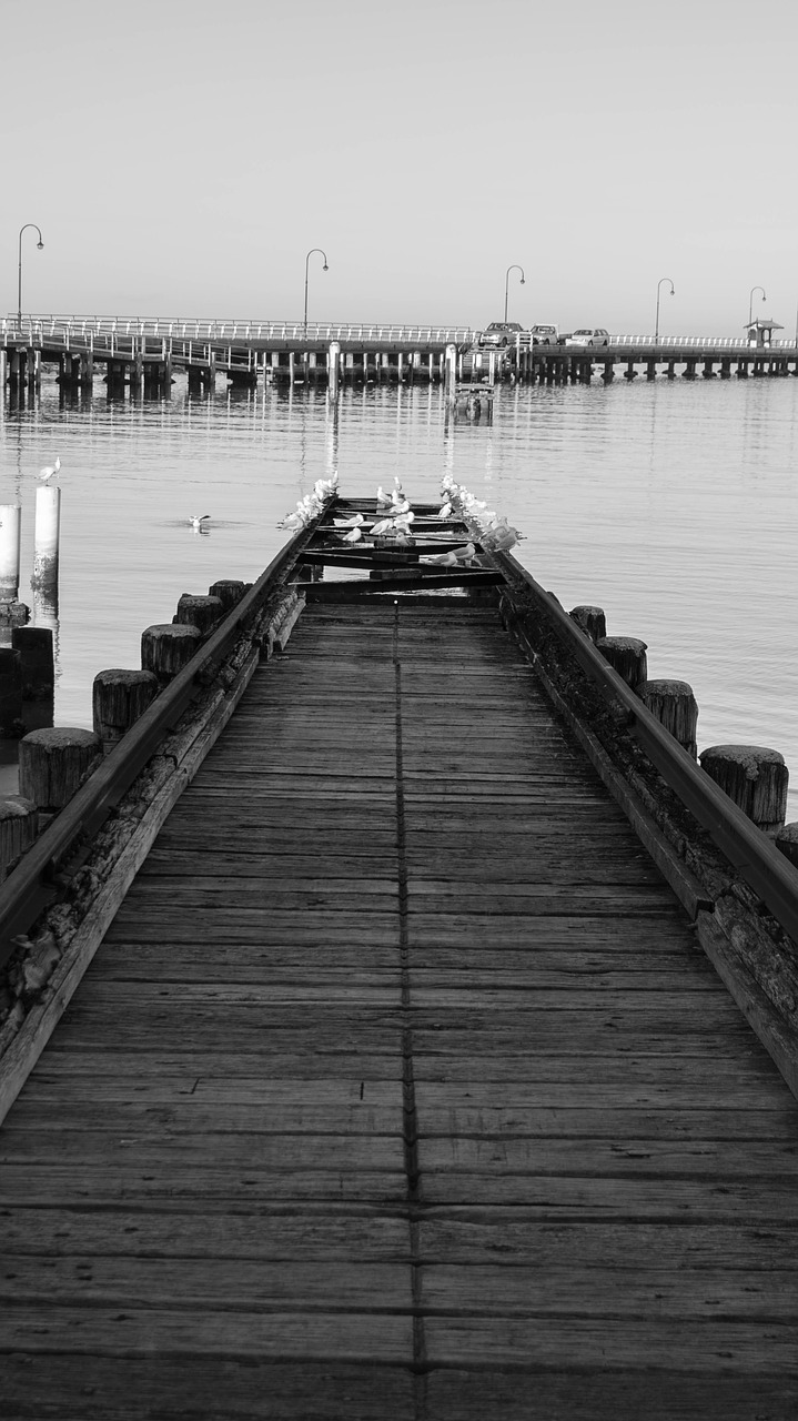 pier ramp yacht tracks free photo