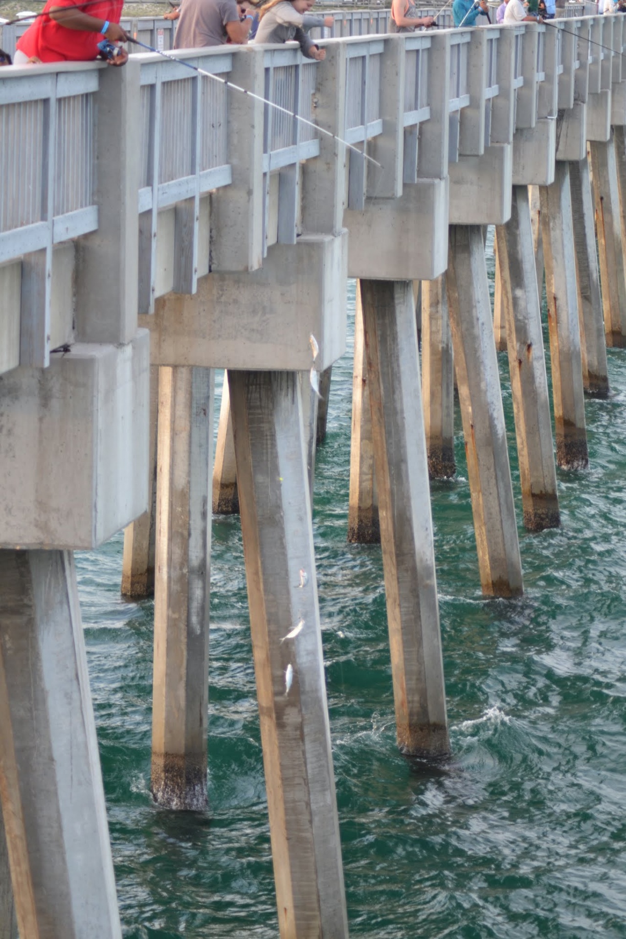 fishing pier pier free photo