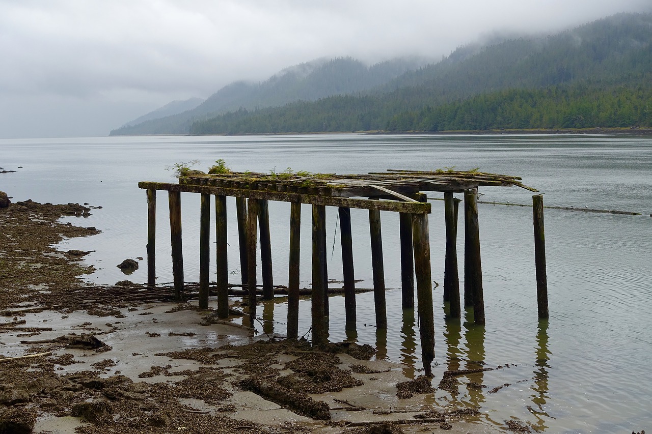 pier ramshackle old free photo