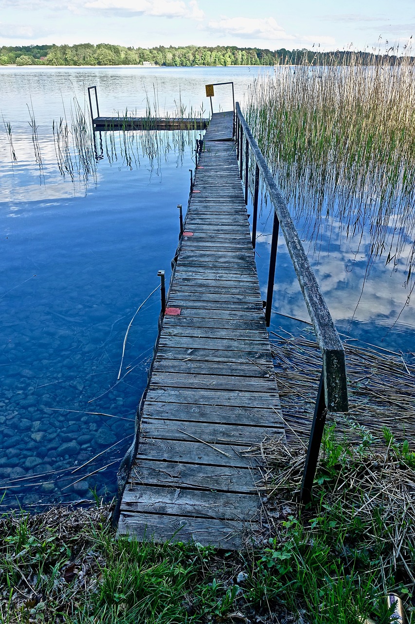 pier jetty wood free photo