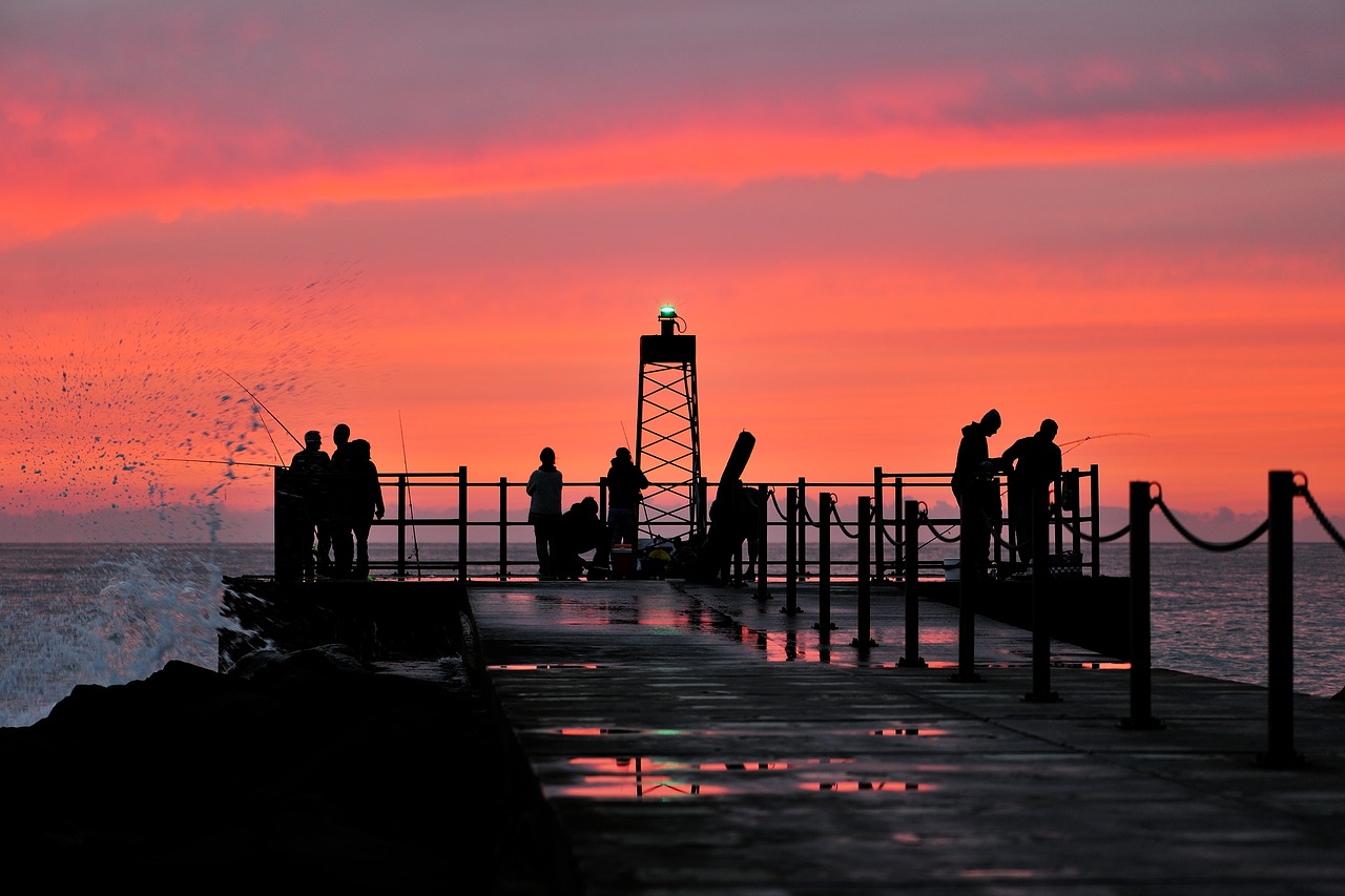 pier fish fishing rod free photo