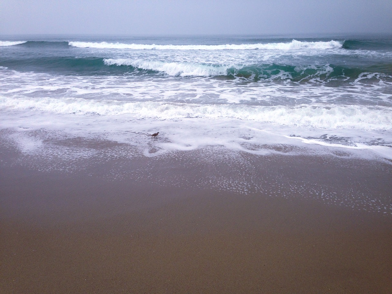 pier cloudy shore free photo