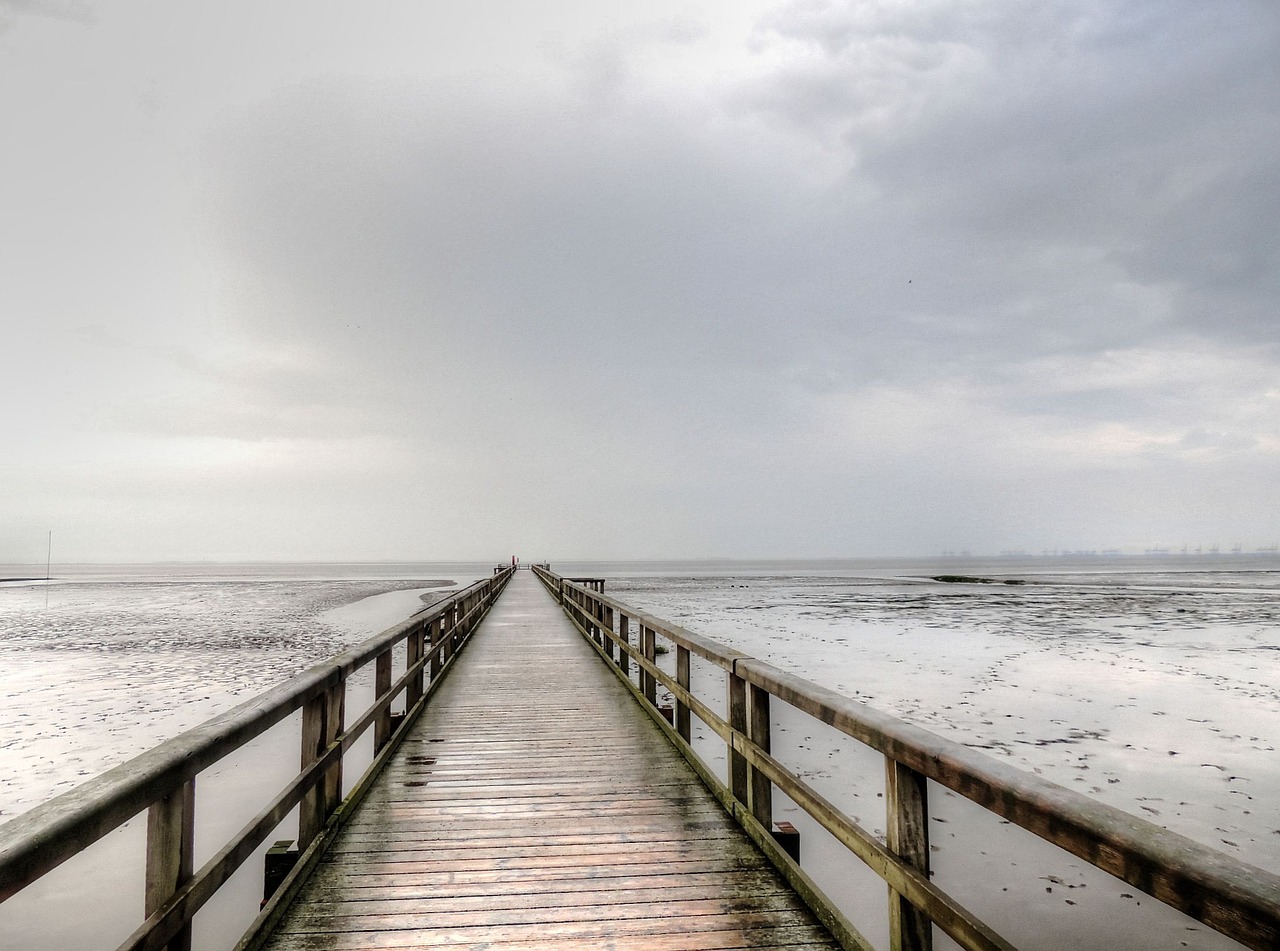 pier sea west frisian free photo