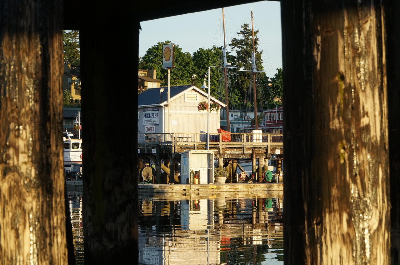 pier dock harbor free photo