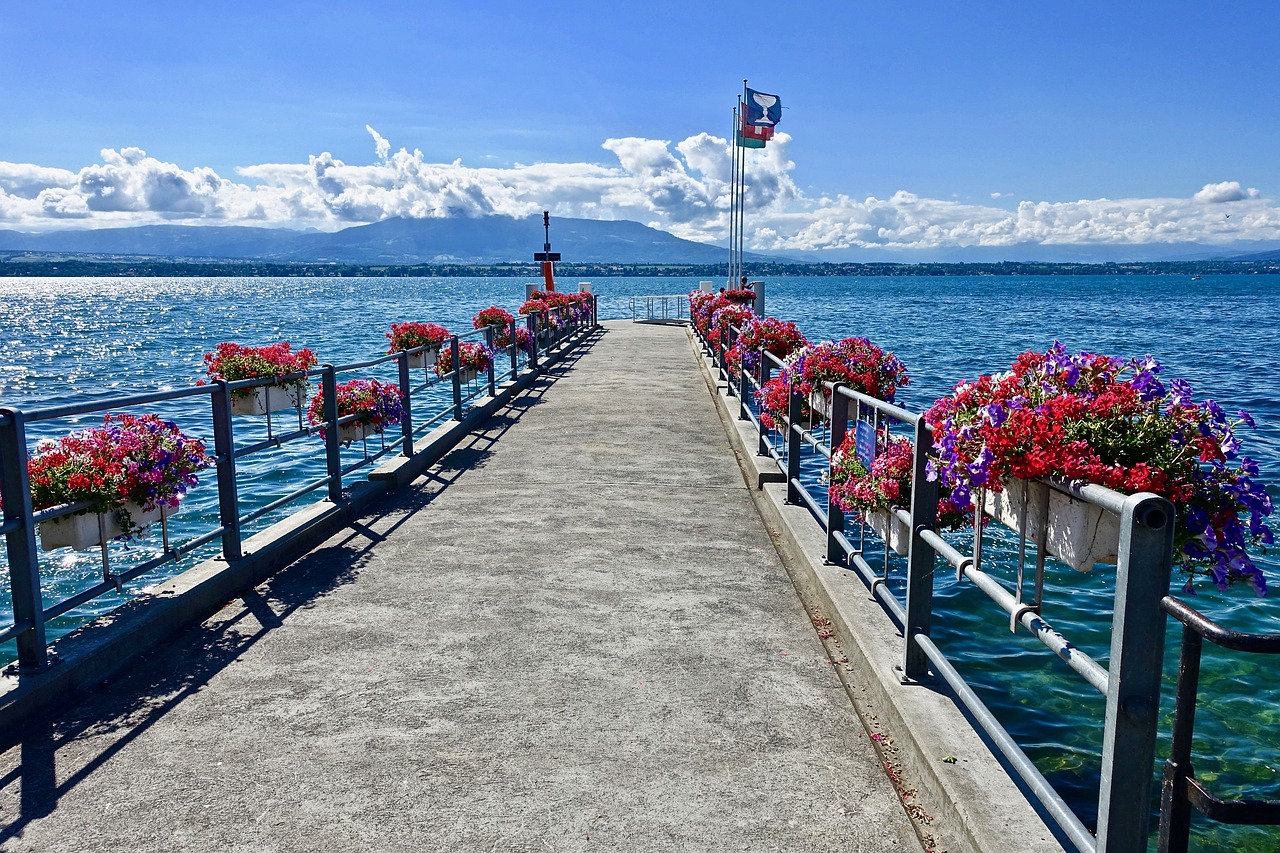 pier jetty flowers free photo