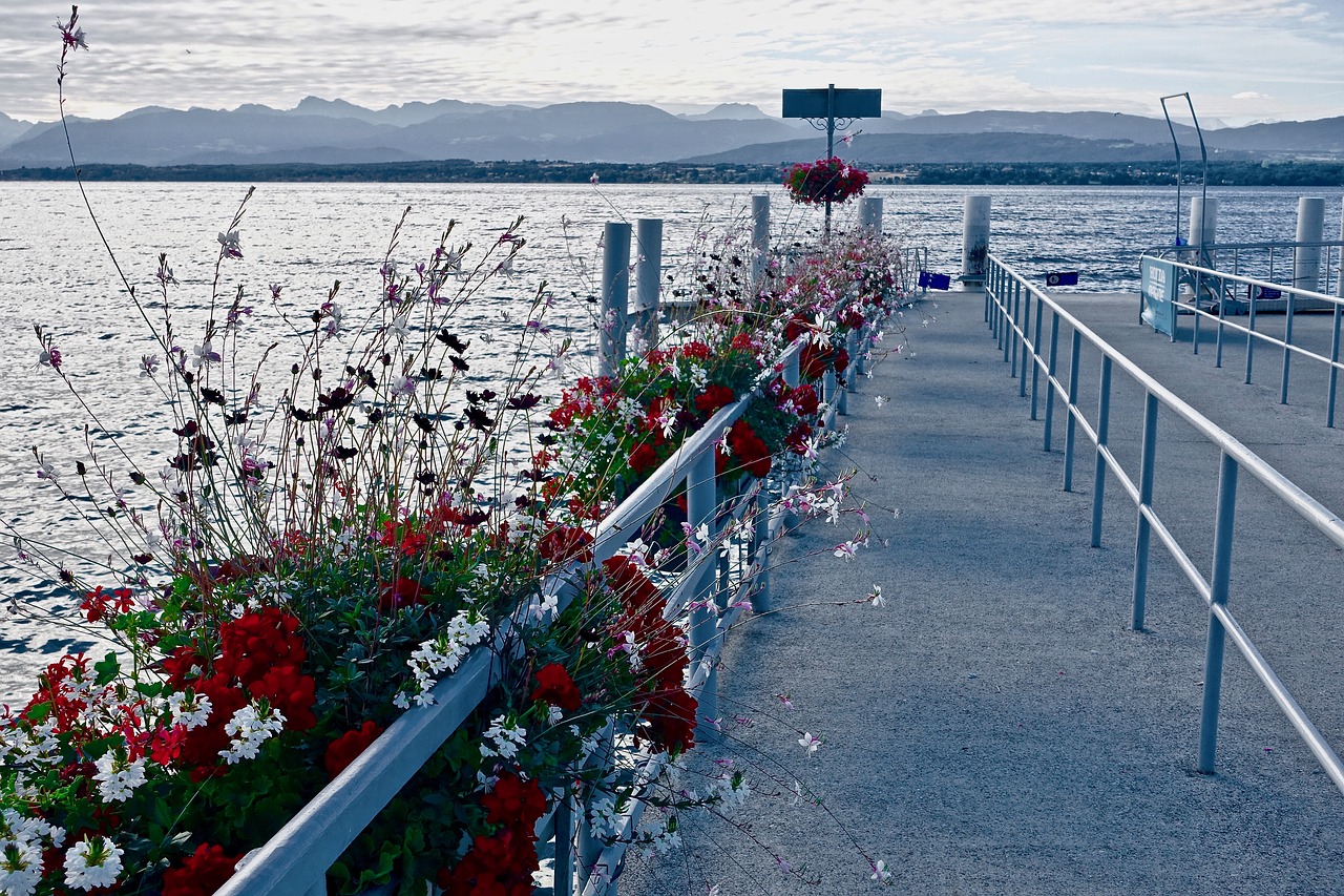 pier jetty flowers free photo