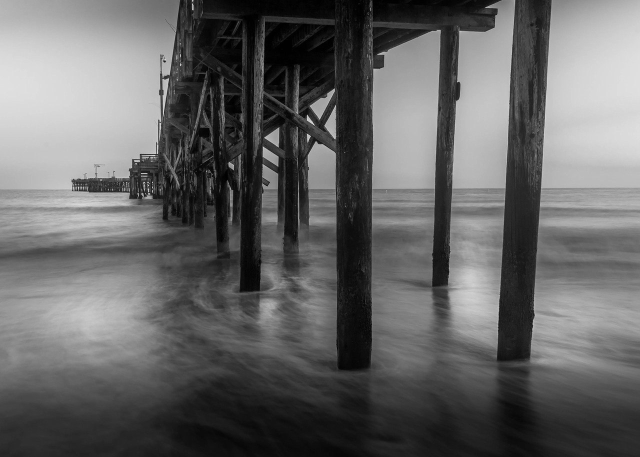 pier  santa barbara  black and white free photo