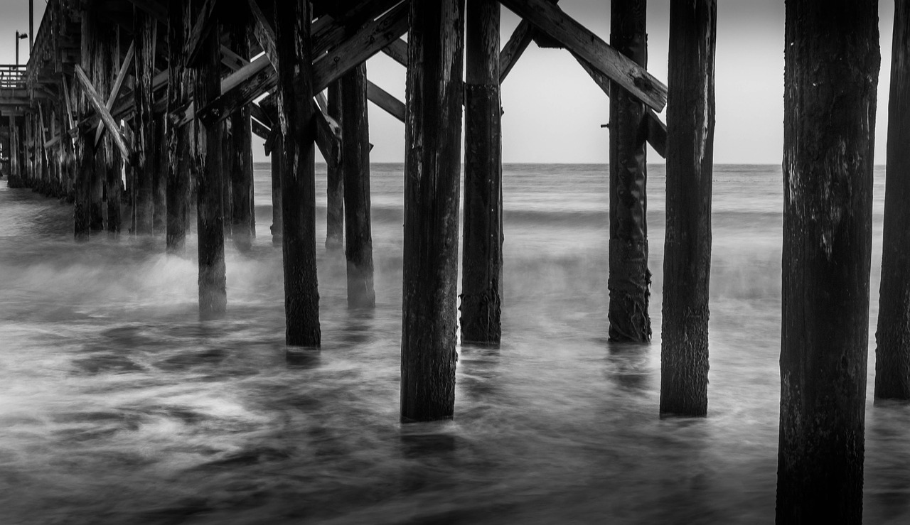 pier  santa barbara  black and white free photo